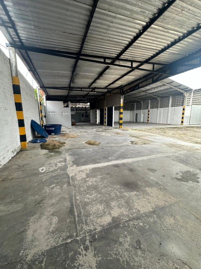 Depósito-Galpão - Foto 30