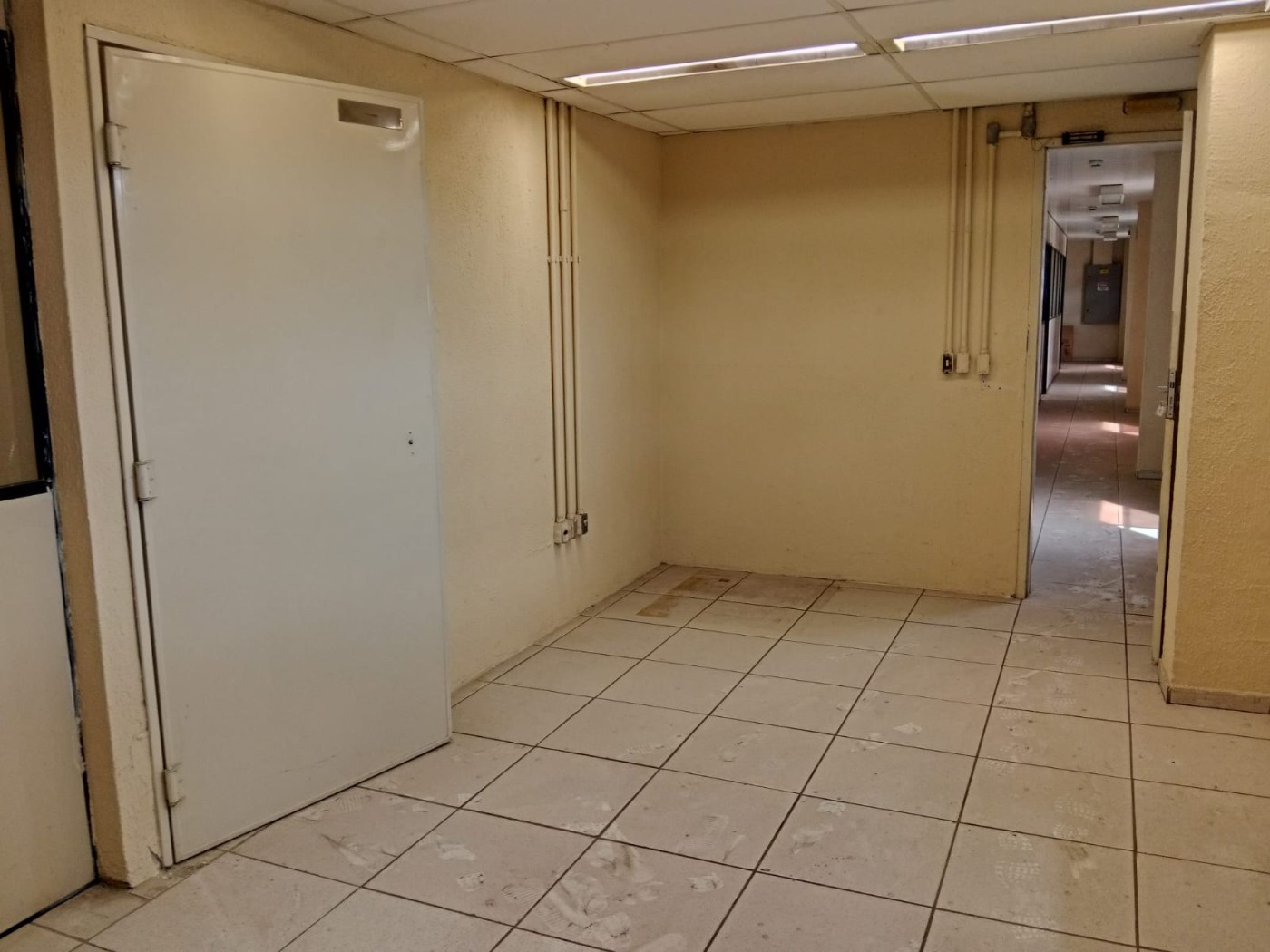 Depósito-Galpão - Foto 24