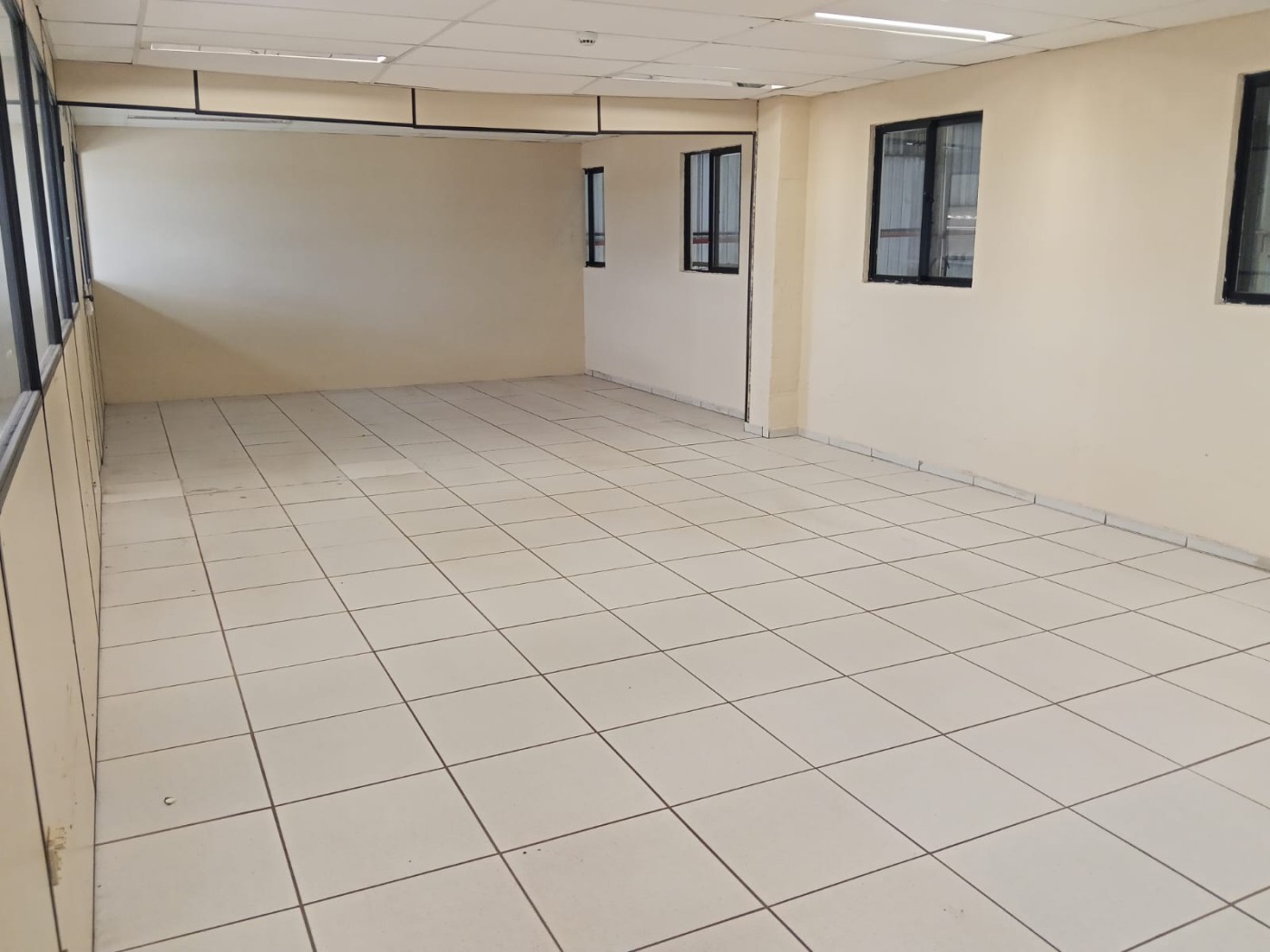 Depósito-Galpão - Foto 27