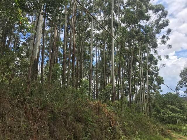 #1300 - Área para Venda em Jundiaí - SP